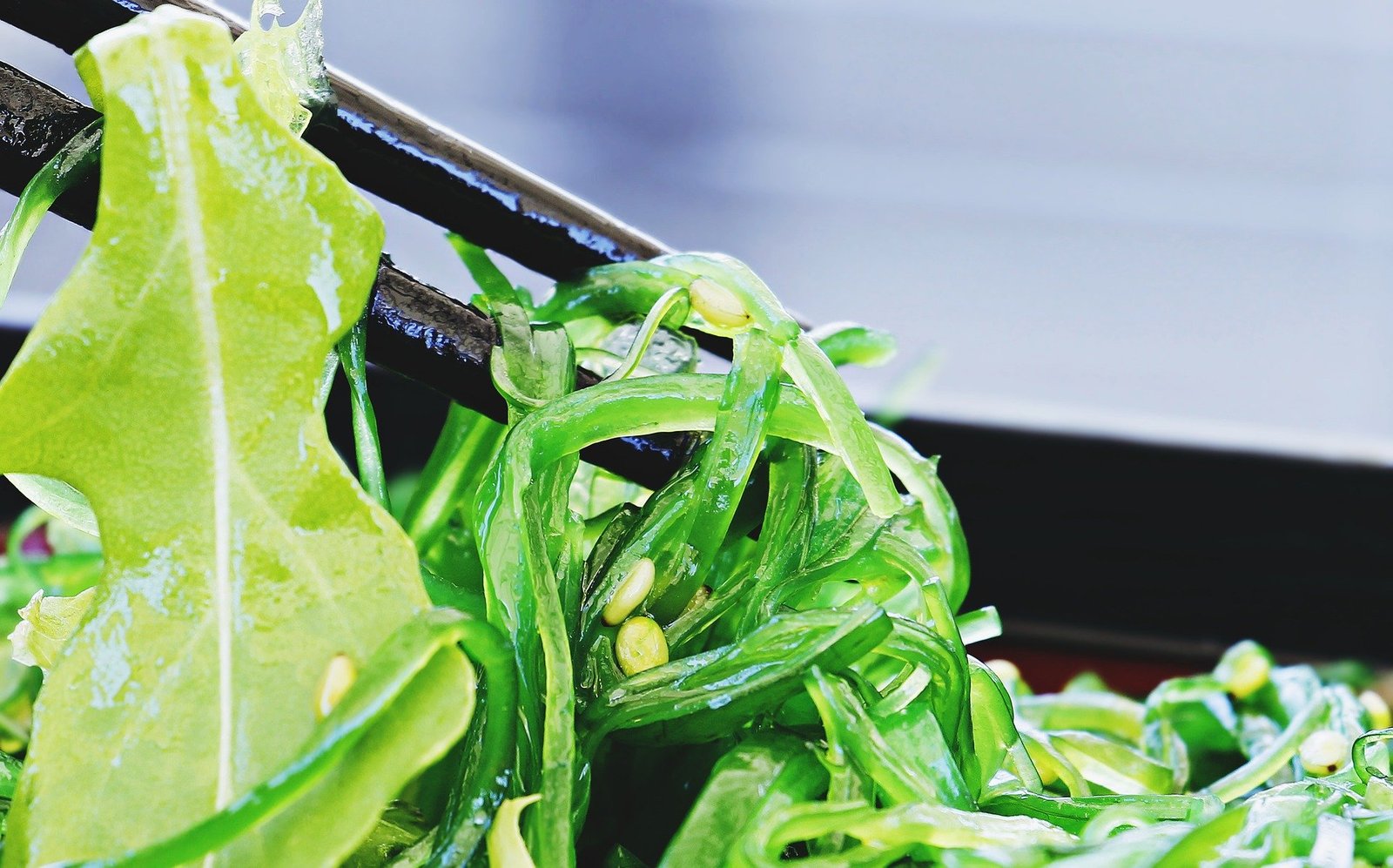 Travelling Vegetarian in Japan!